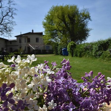 "Villa Seeheim" Ferienobjekt Direkt Am Wasser Ovs 692 Gustow  Luaran gambar